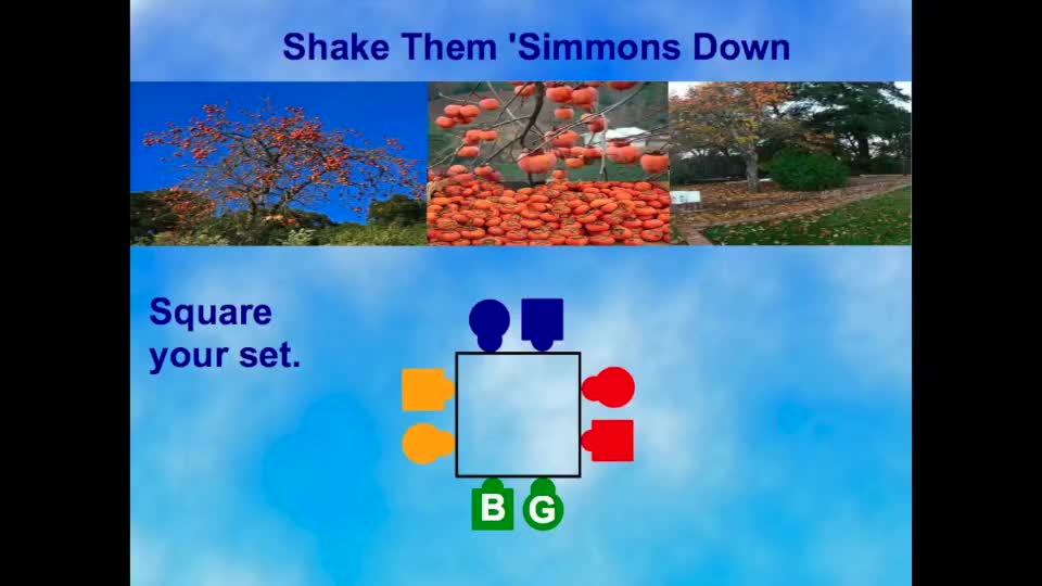 Shake Them 'Simmons Down