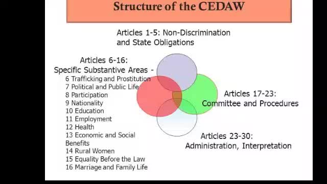 What is CEDAW?