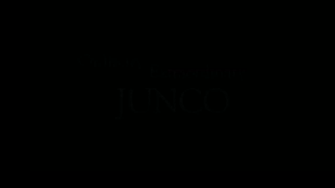Say Hello to the Junco (Intro/Trailer)