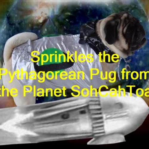 Pythagorean Pug from the planet SohCahToa