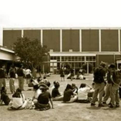 Politics in School Society