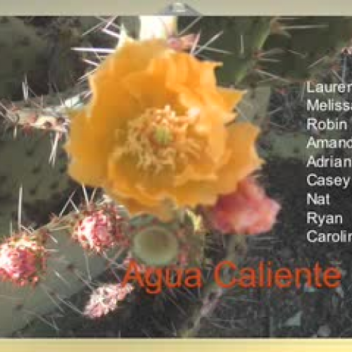 ACES Photo Club Show