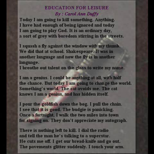 Education for Leisure