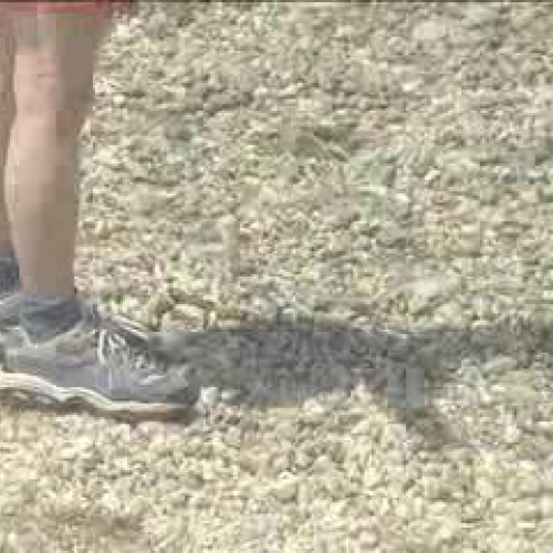 Educating_Adults_About_Learning_Disabilities