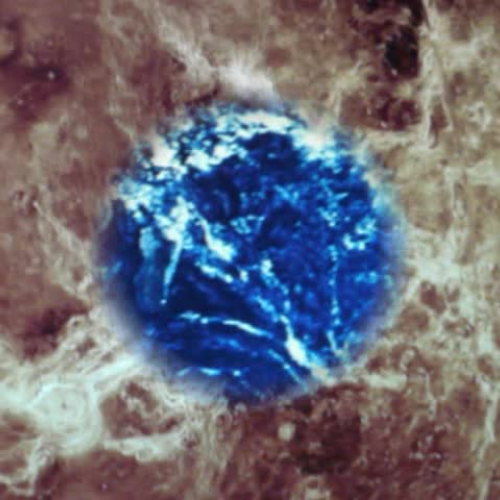 What Constitutes a Lesson Plan