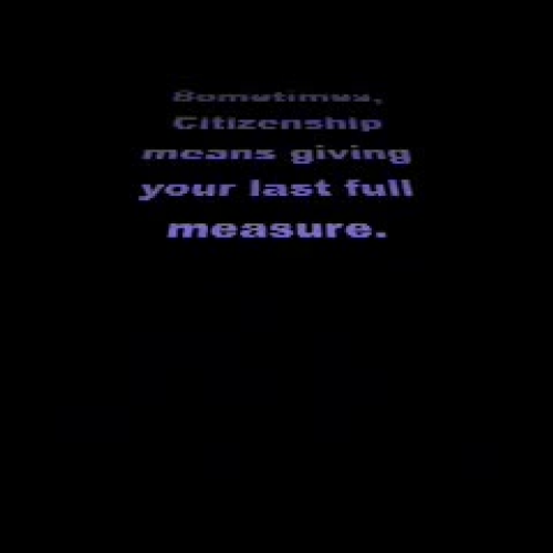 Veterans Day view of Citizenship