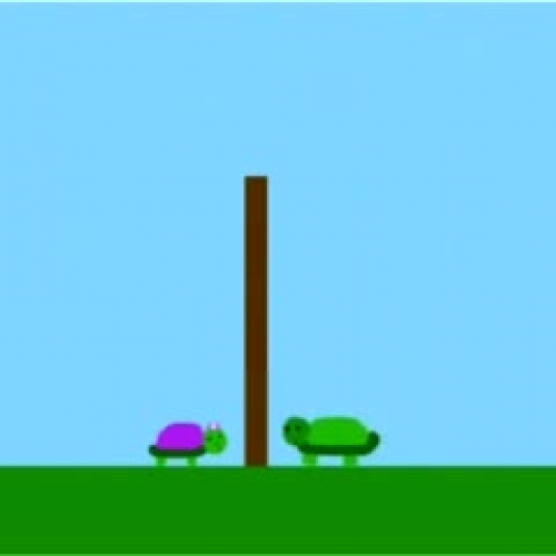 The Little Turtle That Couldn\'t