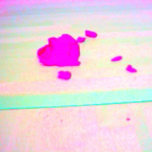 LH RT TR JH 18-10-07 1