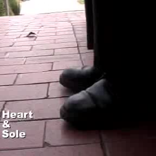 JV Rowville Heart and Soul