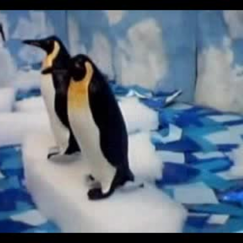 Flapjack and Waddle Go To The Desert