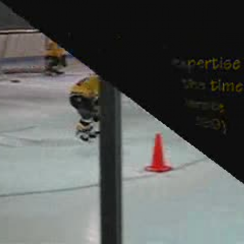 Practice and Expertise