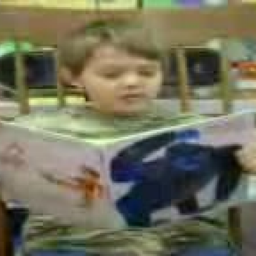 Reading With Fluency