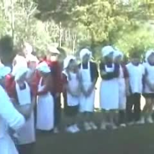 Woodsdale Experience