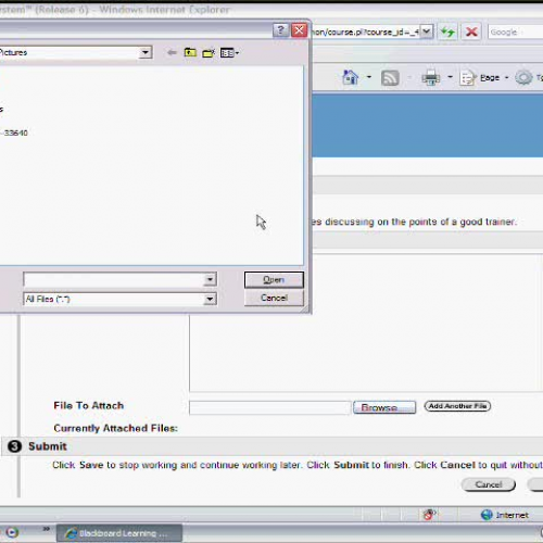 024 My Courses - Assignment 2