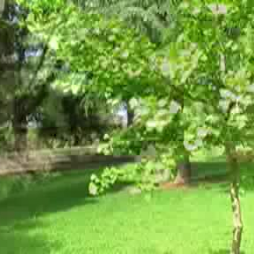 Rhiannon, Micayla and Danica