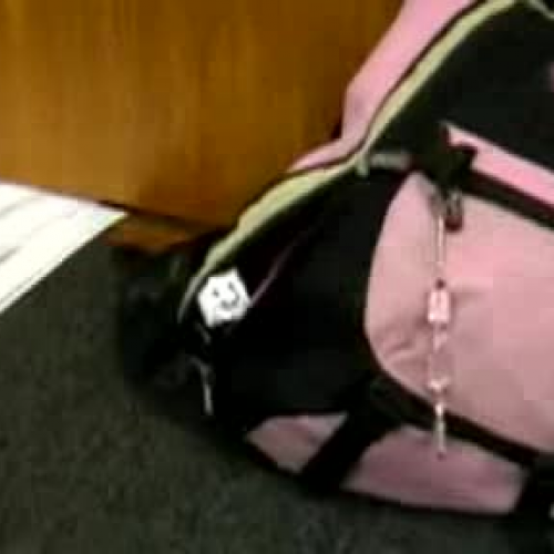 Scrunchie goes to town