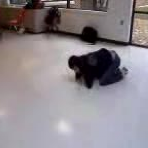 Rotc friend breakdancing