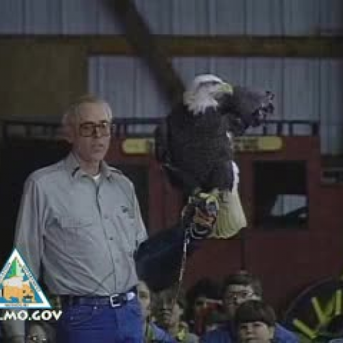 Eagle Days in Missouri