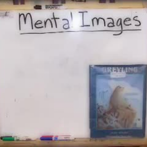 Digital Literacy Story