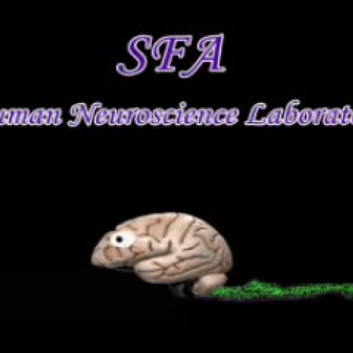 SFA Human Neuroscience Laboratory