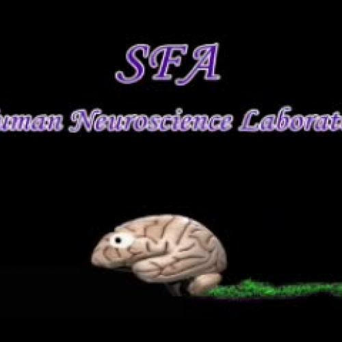 SFA Human Neuroscience Lab Brain Exam 2