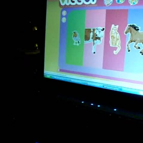 Actividad de p?gina web de los animales