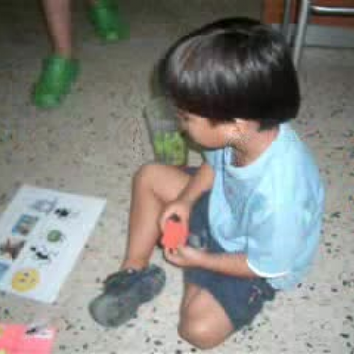 validacion manipulativo Opuestos