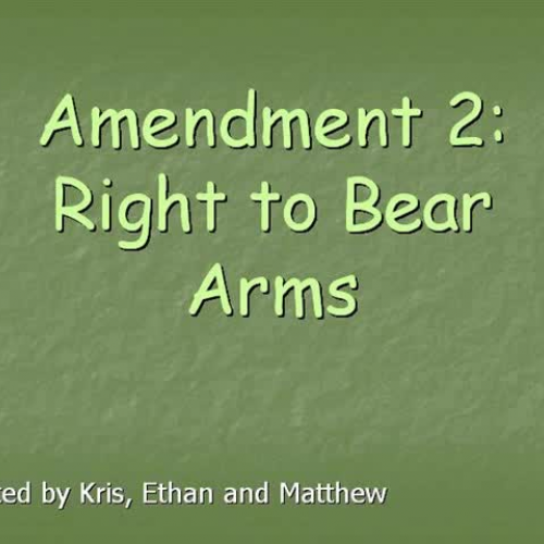 Amendment 2: Right to Bear Arms