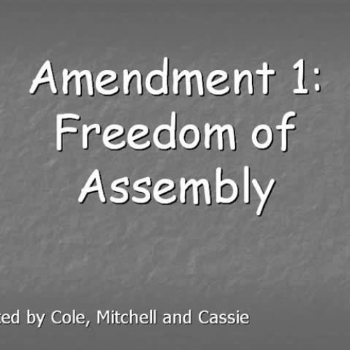 Amendment 1 Assembly