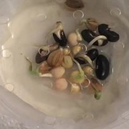 Time Lapse Photography