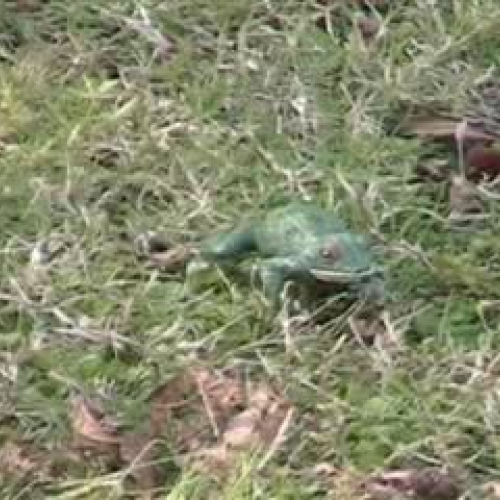 People Speak PSA #3 All of Us (School 3473)