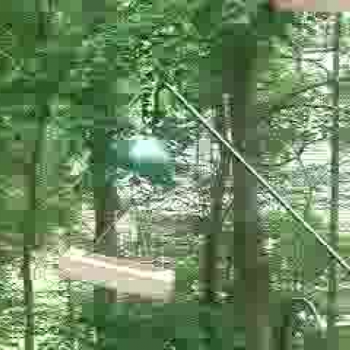 Hurl A Squirrel (tst)