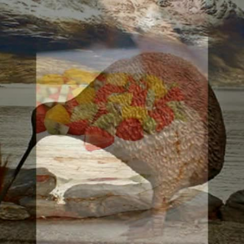 Hamish - Life Round Here