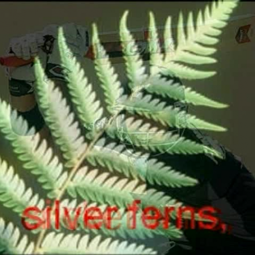 Winiata\'s Life Round Here