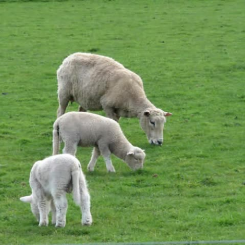 Mitchell\'s Life \'Round Here