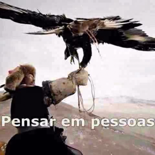 Karine Bighelini - V?deo Evoluindo