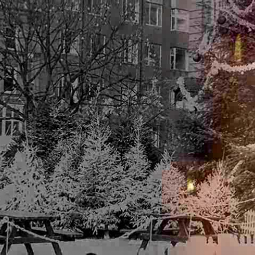 Merry Christmas 2007