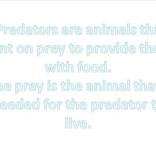 Interconnectedness of the Biological Communit