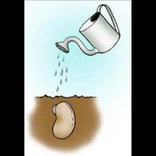 Validaci?n del movie Maker