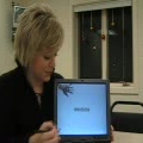 Mentoring & Observing