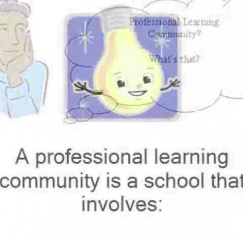 Professional Learning Community