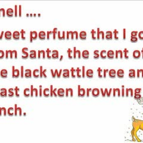 Christmas at my place