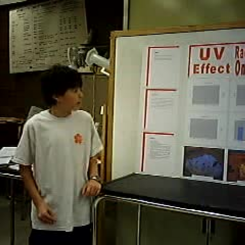 RT Period 2 Science Fair Presentations