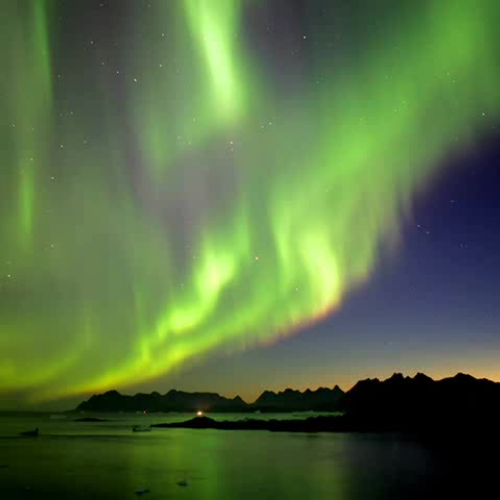 A Separate Peace Project-Alex M.