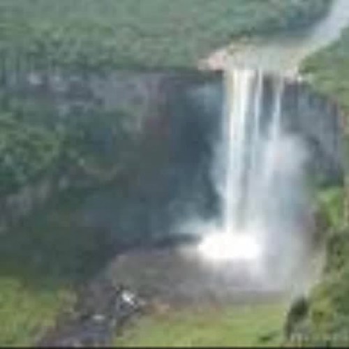 From The Little Cashew To The Big Apple!