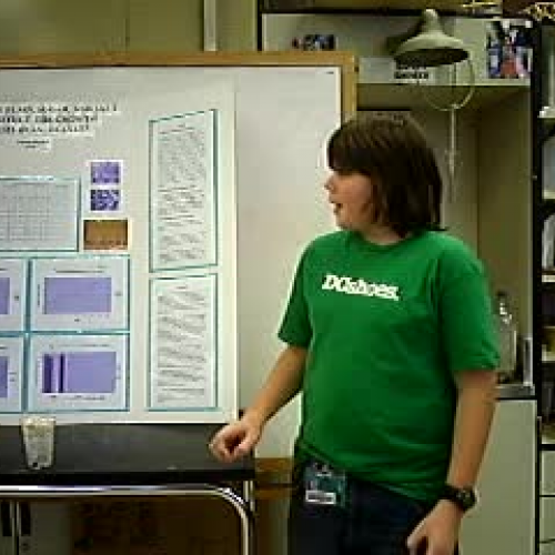 AK Science Fair Presentation Solomon WY