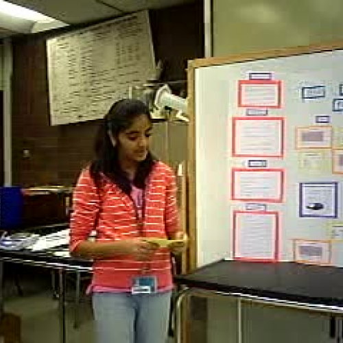 RS Science Fair Presentaion Solomon WY