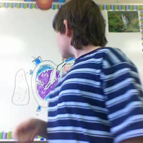 How the Heart Works!