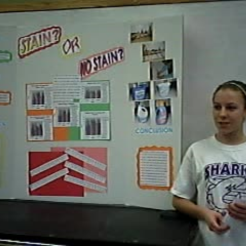 SU Science Fair Presentation Solomon 7th grad