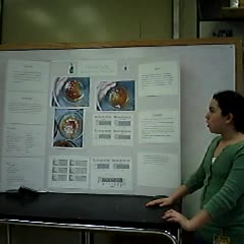 AK Science Fair Presentation Solomon 7th grad